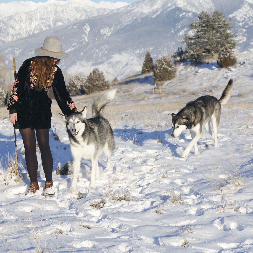 Meet your Posher, Audrey